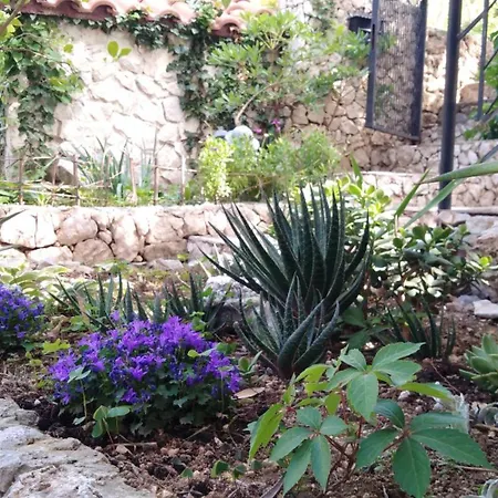 Lägenhet Victoria Gradac (Split-Dalmatia)
