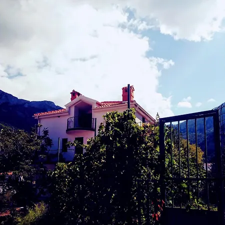 Victoria Appartement *